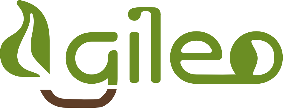 Agileo.ai